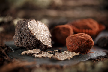 Dark chocolate praline
