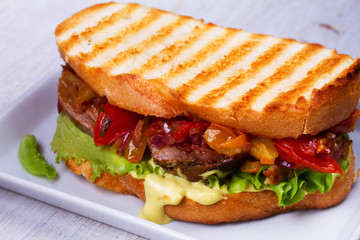 Beef Sandwich with Tomatoes, Coriander, Red Onion and Green Salad