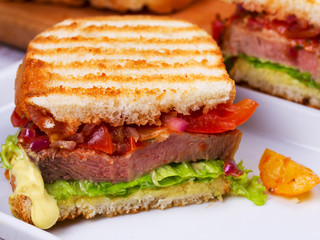 Beef Sandwich with Tomatoes, Coriander, Red Onion and Green Salad