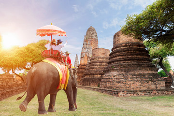 Fototapeta premium Tourists riding elephants in Ayutthaya,Thailand sunrise,sun light