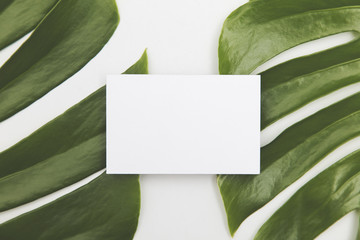 Blank white business card on a green tropical leaf background