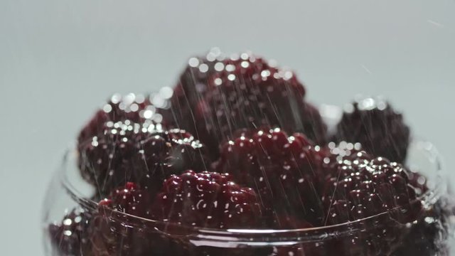 Closeup of micro droplets of pure water spraying on juicy blackberry from above in spinning glass bowl on white background
