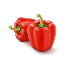 Two Vector Red Sweet Bulgarian Bell Peppers, Paprika on Background