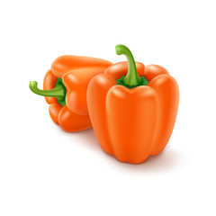 Two Vector Orange Sweet Bulgarian Bell Peppers, Paprika on Background