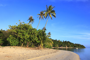 Polynesian beach