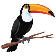 Toucan Bird Vector Flat Design