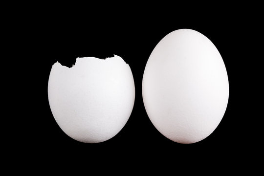 whole egg and empty eggshell isolated on black background