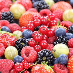 Beeren Beere Frucht frische bio Früchte Erdbeeren Himbeeren Bla