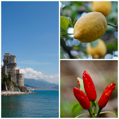 Collage Costiera Amalfitana e Penisola Sorrentina con agrumi, arance e limoni