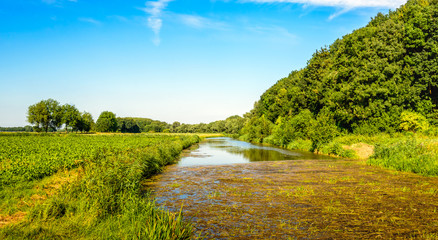 Creek through a rural area in the summer season