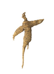 Ginseng root's shape look like a woman  on white background