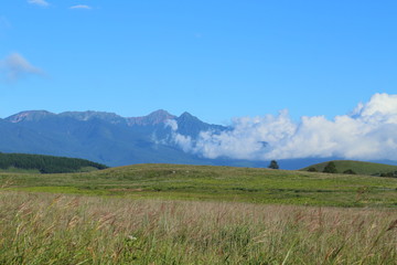 Fototapeta premium 霧ヶ峰