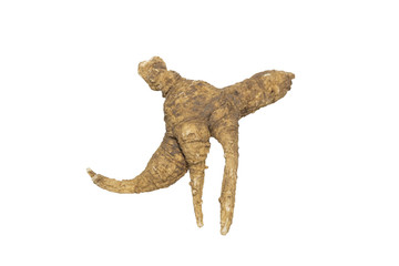 Ginseng root's shape look like a woman  on white background