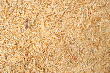 wood sawdust for background.