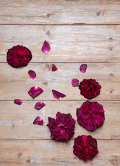 Top view of rose flowers with roses petals on a wood