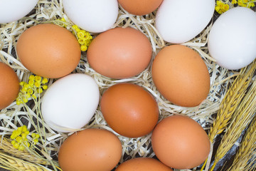 Yellow and white eggs, flower and wheat on straw