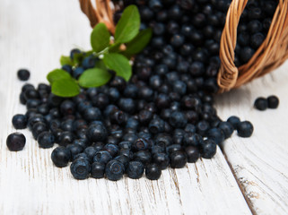 Basket with Blueberries