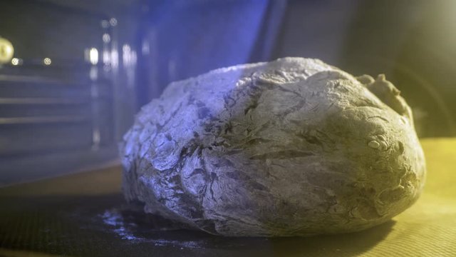 Baking homemade bread in the oven, time lapse. 4K