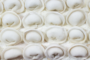Fototapeta na wymiar Uncooked dumplings lined in a row on the board
