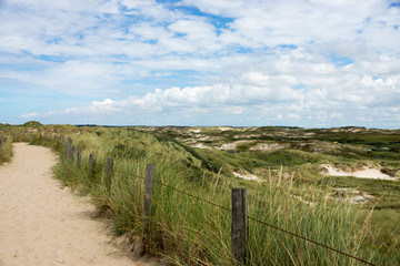 Dünenlandschaft 