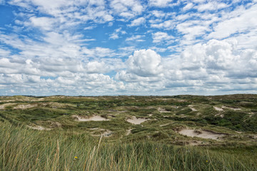 Dünenlandschaft "Noordhollandse Duinreservaat" in Engmond aan Zee, Nordholland, Niederlande