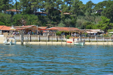 Cap Ferret