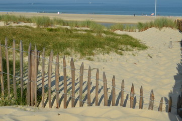 Protection du littoral