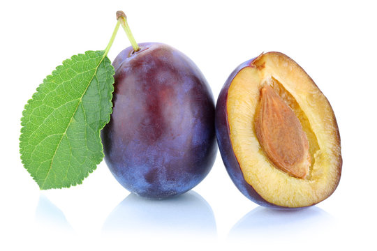 Zwetschgen Pflaumen Zwetschge Pflaume Frucht frisch Obst Freiste