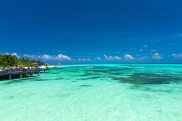 Fototapeta premium tropical beach in Maldives