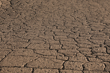  Detail of cracked asphalt closeup