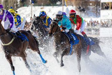 Competizione ippica invernale