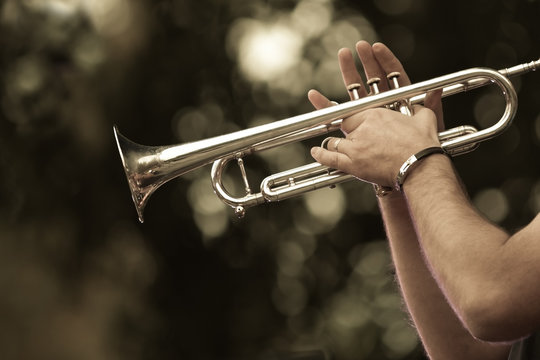 Hands of the musician playing a trumpet