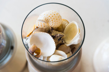 various shells in glass