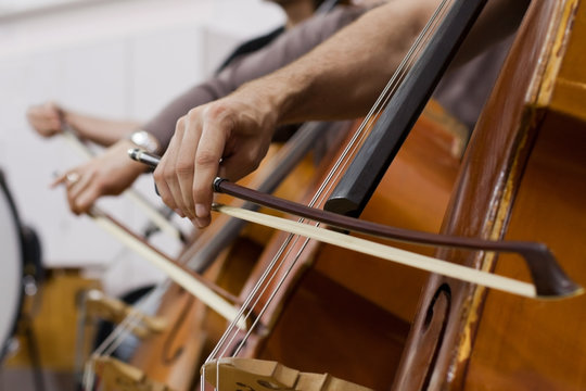  Musician hand playing the double bass in the orchestra closeup