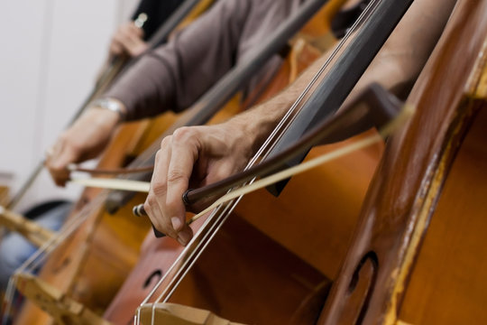 Musician hand playing the double bass in the orchestra closeup