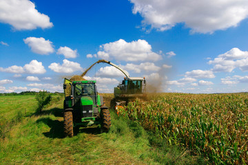Maisernte, Häcksler entlädt Mais auf Traktorhänger
