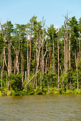 Obraz premium slowinski landscape