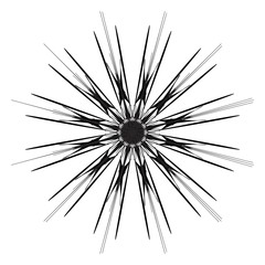 Obraz premium Mandala. Round Ornament Pattern. Ethnic.