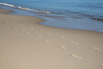 Footsteps on the beach by the sea in summer