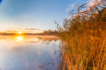 Obraz premium misty morning on Mazury lake 