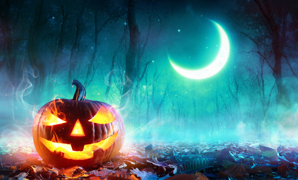 Fiery Pumpkin In A Haunted Forest In The Moonlight
