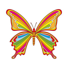 cute butterfly drawn isolated icon vector illustration design