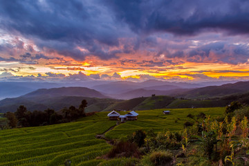 Green Terraced Rice Field in Pa Pong Pieng , Mae Chaem, Chiang Mai, Thailand