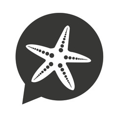 Obraz premium star fish summer isolated icon vector illustration design vector illustration design