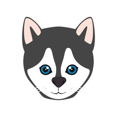 siberian husky breed dog canine pet animal. puppy cartoon. vector illustration