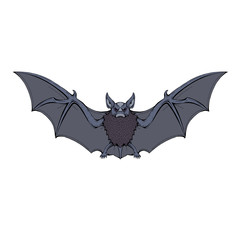 evil bat front cartoon isolated vector illustration