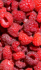 Raspberries