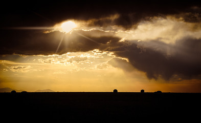 Montana hay field at sunset