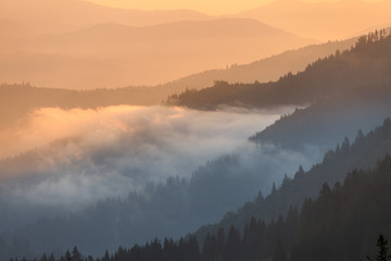 Obraz premium Foggy Sunrise morning in the mountains