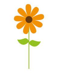beautiful flower drawing isolated vector illustration design